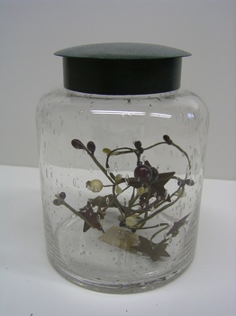 Teal Bubble Glass Jar