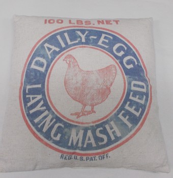 Daily Egg Sack Pillow