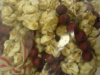 Popcorn &  Cranberry Garland