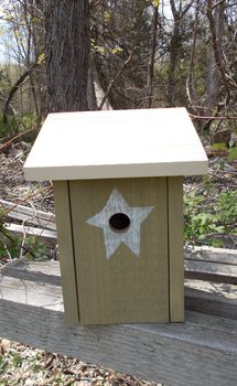 BLueBird House Sage