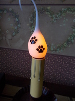 paw print bulb